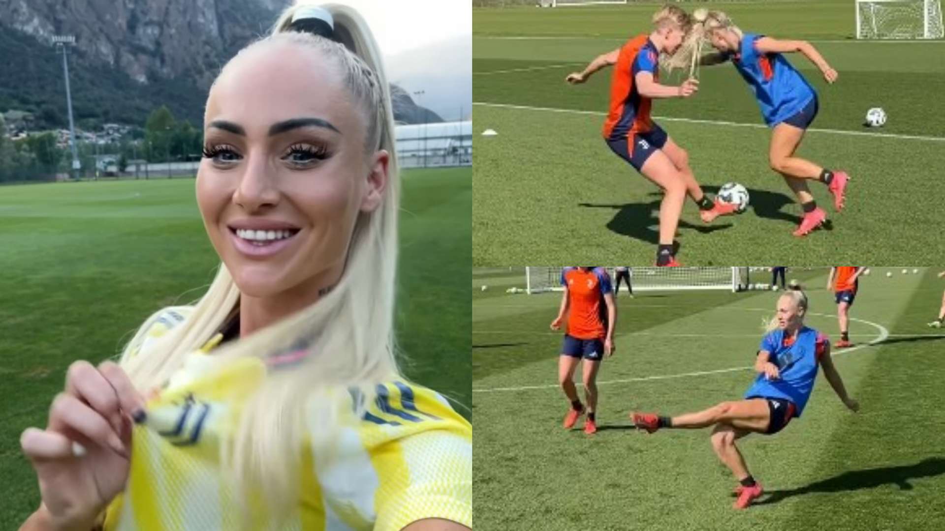 无数球迷的 无数球迷的